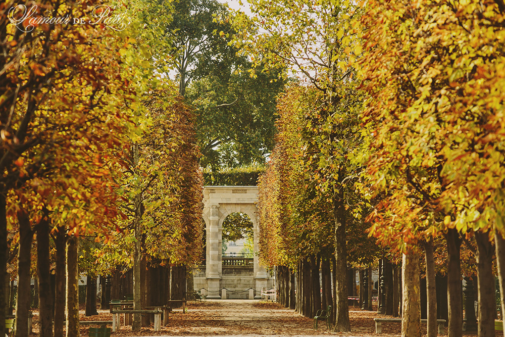 paris-in-autumn-l-amour-de-paris-romantic-parisian-portraits-in