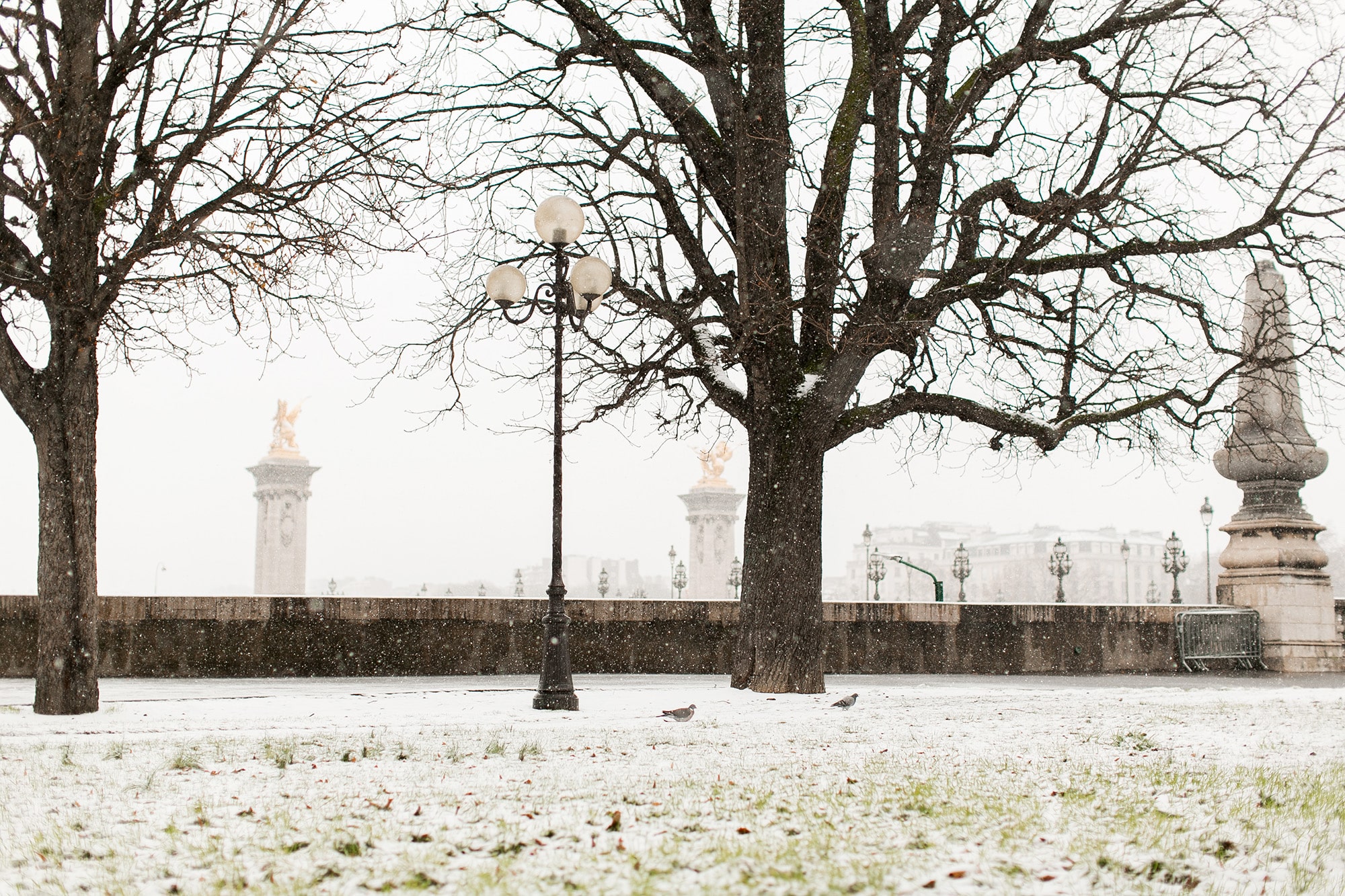 Snow in Paris! The Most Magical Time of the Year in the City of Love ...